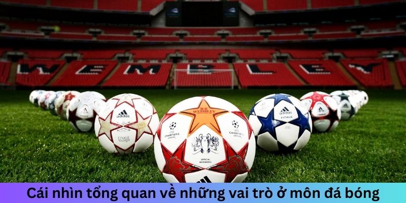 Cái nhìn tổng quan về những vai trò ở môn đá bóng